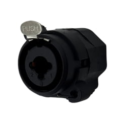 Conector Combo Santo Angelo XLR e P10